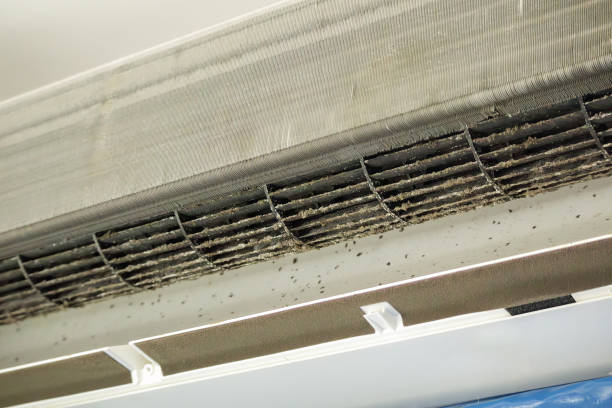 Best General Air Duct Cleaning  in Haines, AK